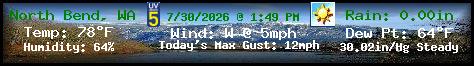 Current Weather Conditions in 